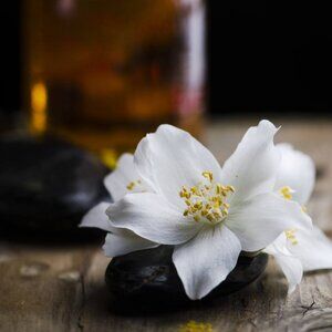 Handcrafted Jasmine Body Balm